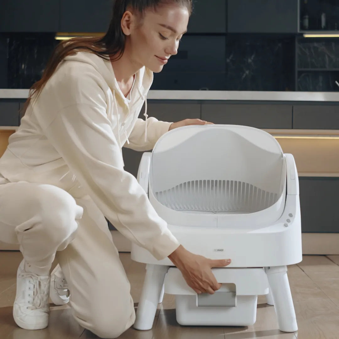 No More Scooping – Self-Cleaning, Odor-Free Litter Box
