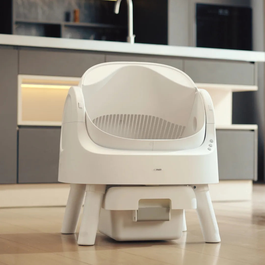 No More Scooping – Self-Cleaning, Odor-Free Litter Box