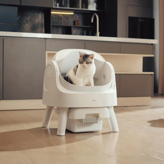 No More Scooping – Self-Cleaning, Odor-Free Litter Box