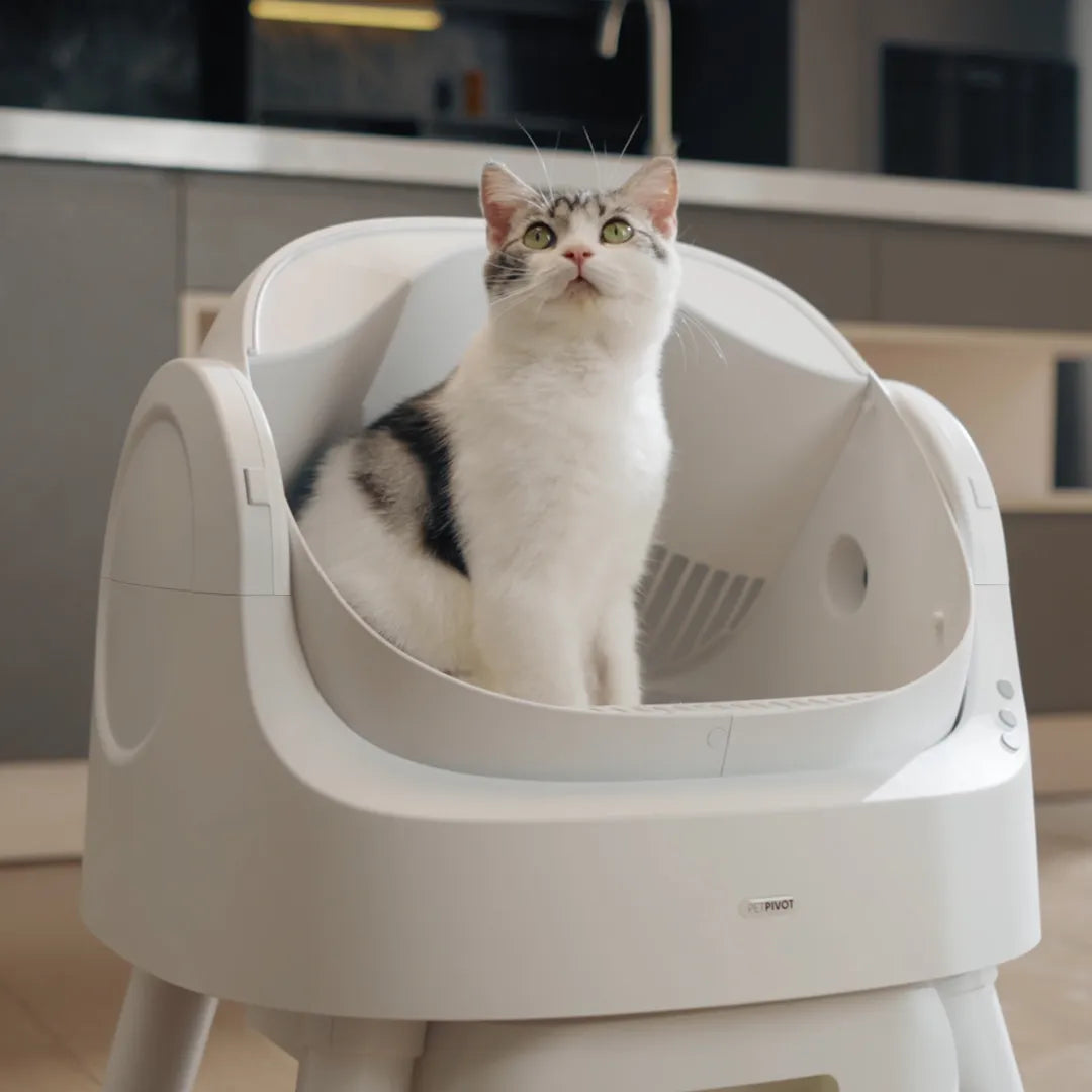 No More Scooping – Self-Cleaning, Odor-Free Litter Box