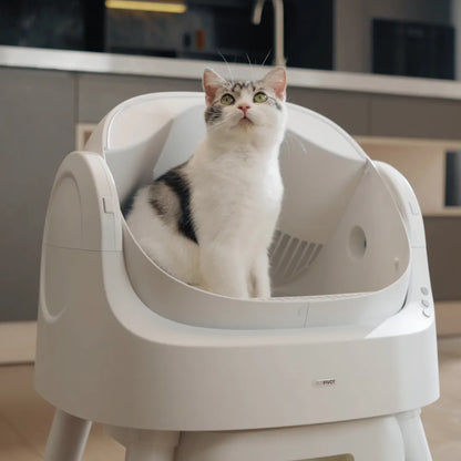 No More Scooping – Self-Cleaning, Odor-Free Litter Box